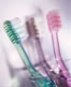 Photo - Toothbrushes