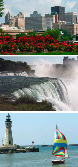 Buffalo Photos
