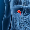 gallbladder