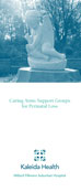 Download Caring Arms Perinatal Loss Brochure