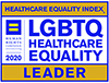 LGBT Healthcare Equality logo